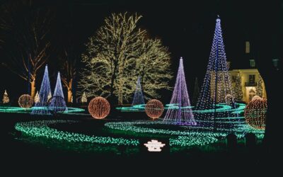 Holiday Events Around the Valley