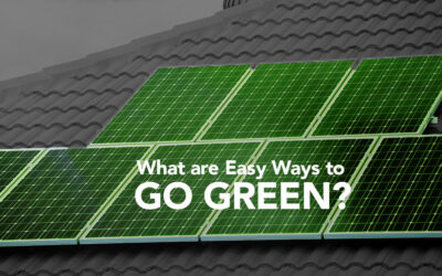 What are Easy Ways to Go Green?